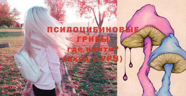 спиды Алексеевка