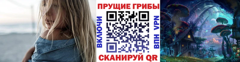 ссылка на мегу ссылки  Елабуга  Псилоцибиновые грибы MAGIC MUSHROOMS  купить  сайты 