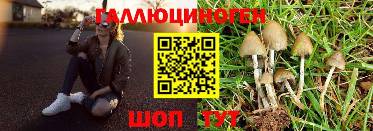 Галлюциногенные грибы Елабуга