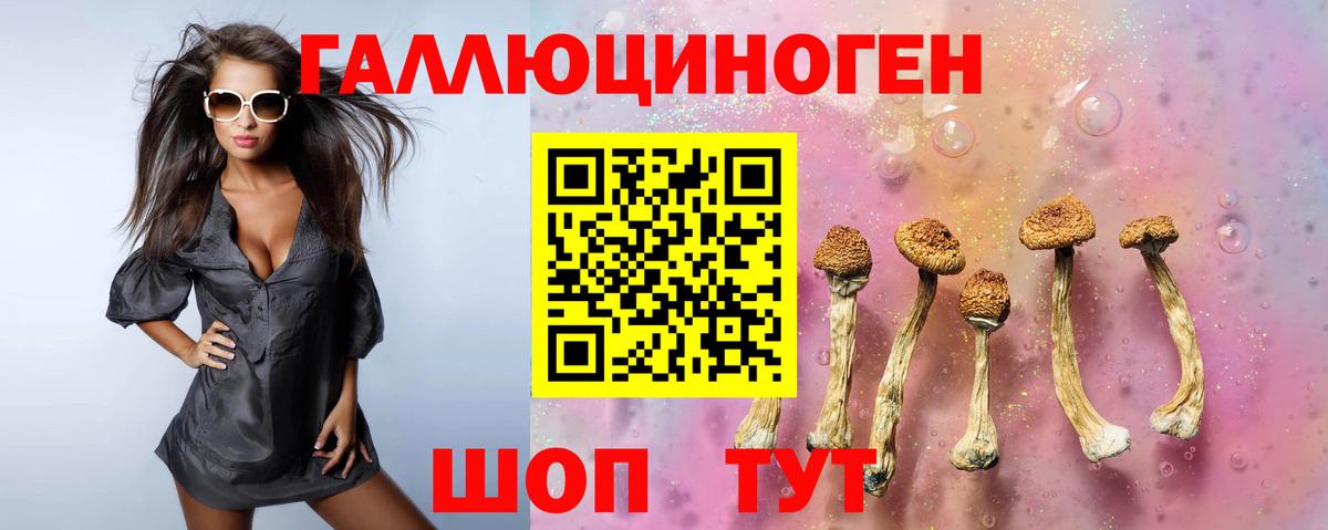 Галлюциногенные грибы Psilocybe Елабуга